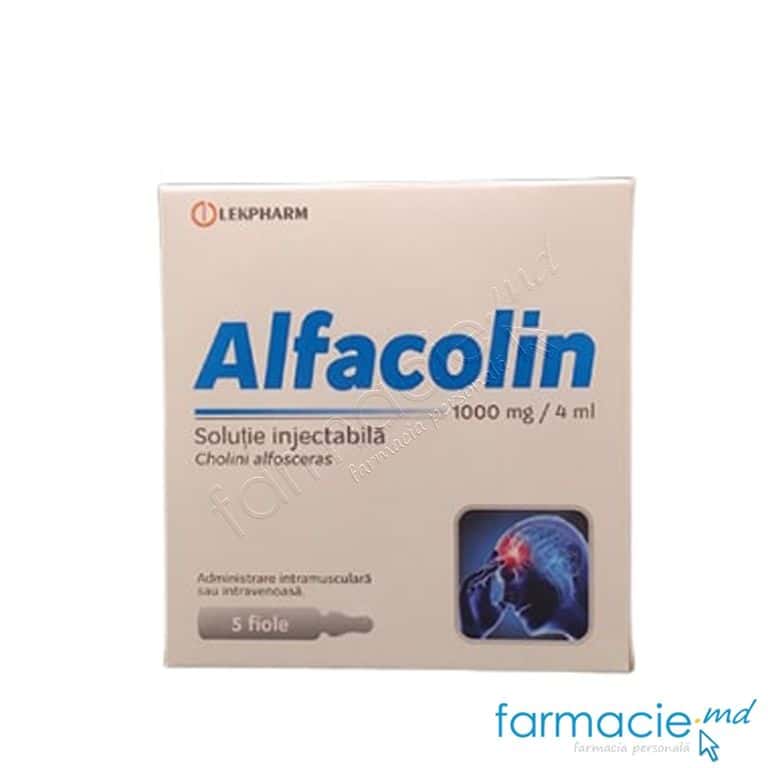 Alfacolin sol. inj. 1000 mg/4 ml N5