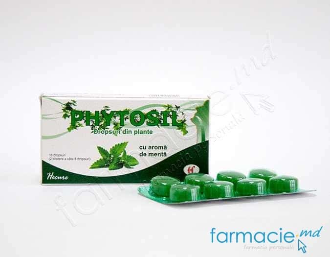 Phytosil Herbal comp.de supt N8x2 (menta) (Travisil)