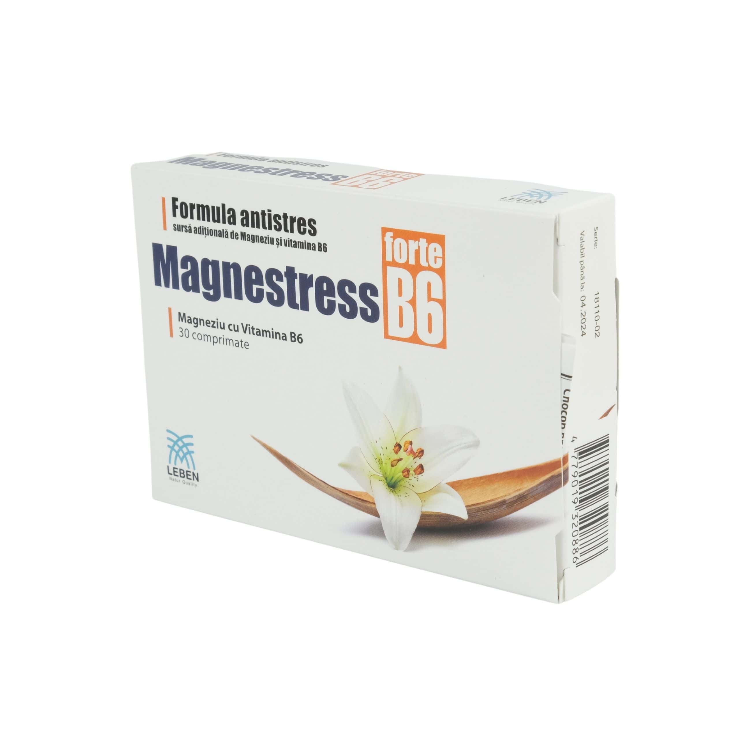 SBA Magnestress Forte B6 N30
